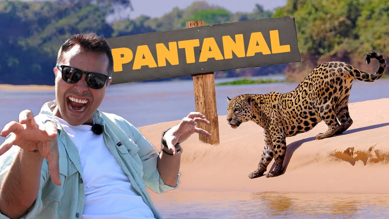 Thumbnail: Pantanal | Biomas do Brasil | Ep.2