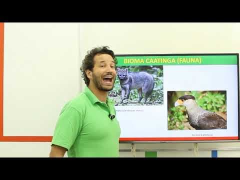 Thumbnail da aula: Geografia - Bioma da Caatinga - Parte I
