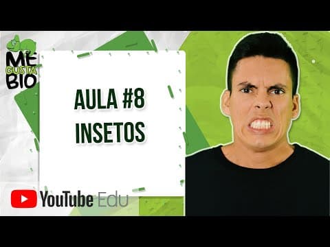 Thumbnail da aula: Artrópodes - Insetos