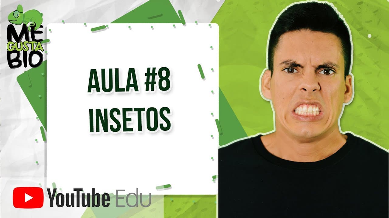 Thumbnail: Artrópodes - Insetos