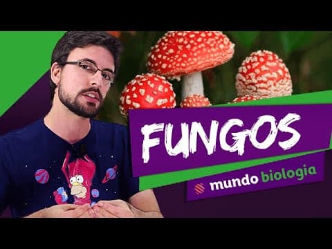 Thumbnail da aula: 🌿 Botânica (5/5): Fungos - Biologia - ENEM