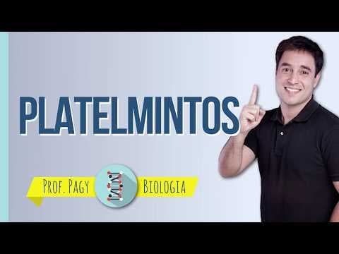 Thumbnail da aula: Platelmintos - prof. Pagy - Biologia