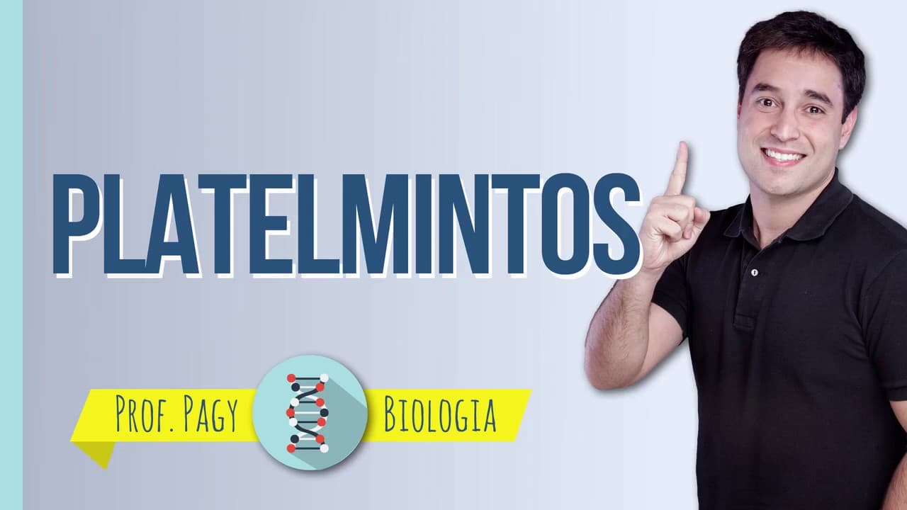 Thumbnail: Platelmintos - prof. Pagy - Biologia
