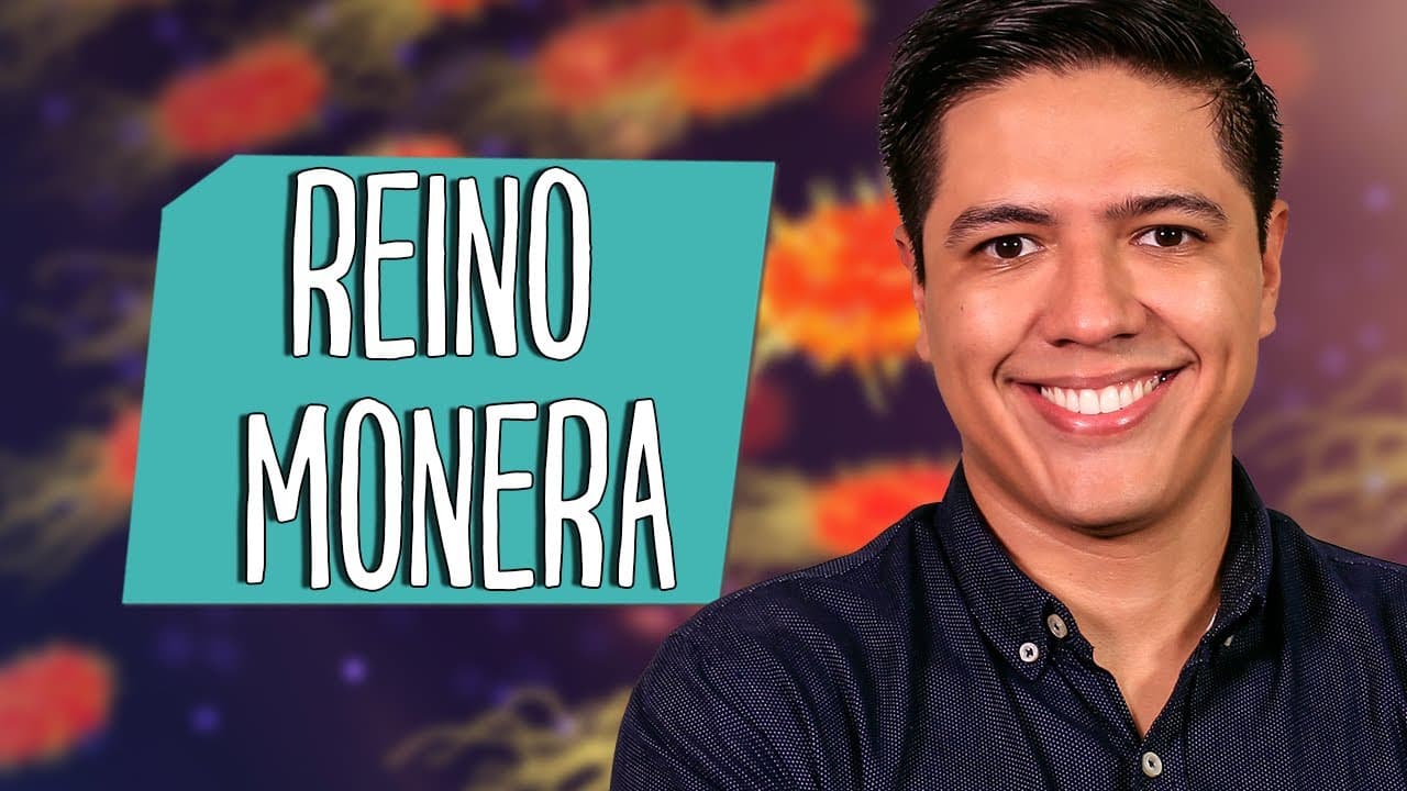 Thumbnail: REINO MONERA - BACTÉRIAS - MICROBIOLOGIA - Prof. Kennedy Ramos