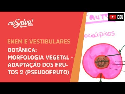Thumbnail da aula: Me Salva! BOT45 - Botânica - Morfologia vegetal: adaptações dos frutos II (Pseudofrutos)