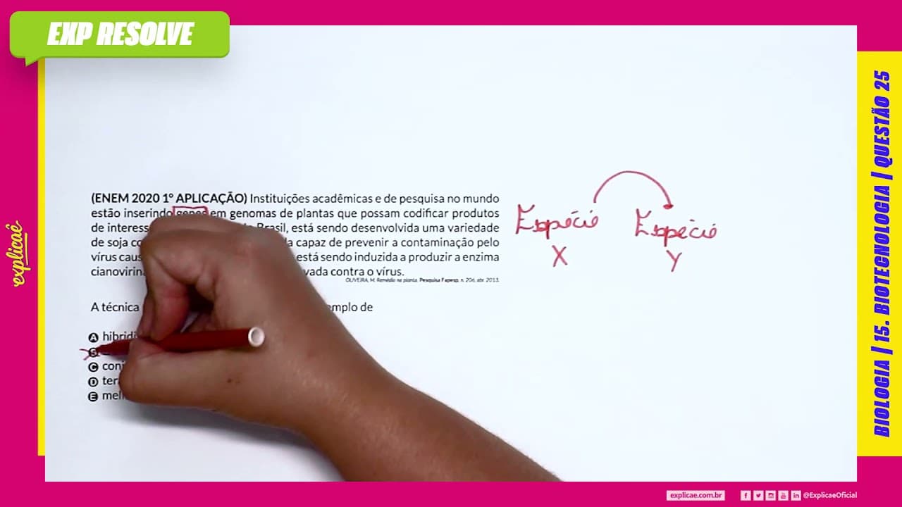 Thumbnail: INSTITUIÇÕES ACADÊMICAS E DE PESQUISA NO MUNDO ESTÃO INSERINDO GENES EM (...) | BIOTECNOLOGIA