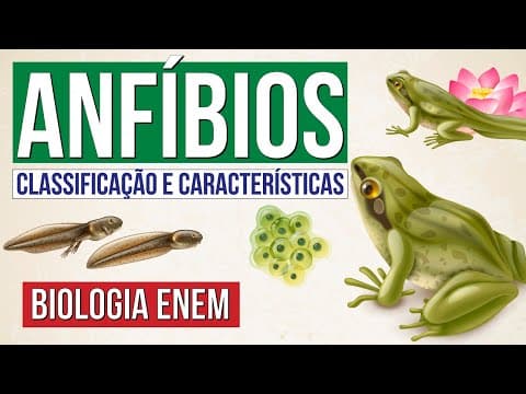 Thumbnail da aula: ANFÍBIOS: classificação e características | Biologia para o Enem | Cláudia de Souza Aguiar
