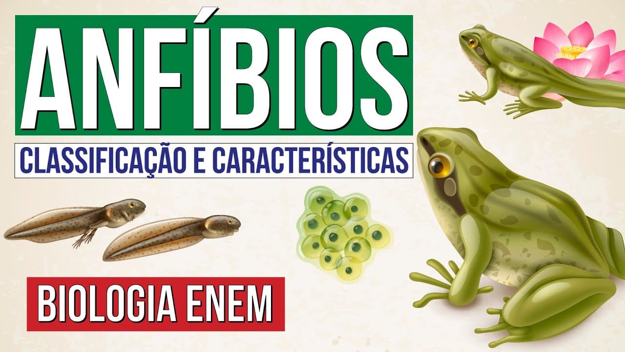 Thumbnail: ANFÍBIOS: classificação e características | Biologia para o Enem | Cláudia de Souza Aguiar