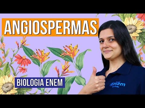 Thumbnail da aula: ANGIOSPERMAS: veja as características destas plantas. RESUMO DE BIOLOGIA ENEM. Profa Claudia Aguiar