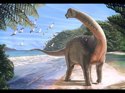 Thumbnail da aula: Enem 2012 - Resolução de biologia questão83-(Enem 2012-prova amarela primeira aplicação) education