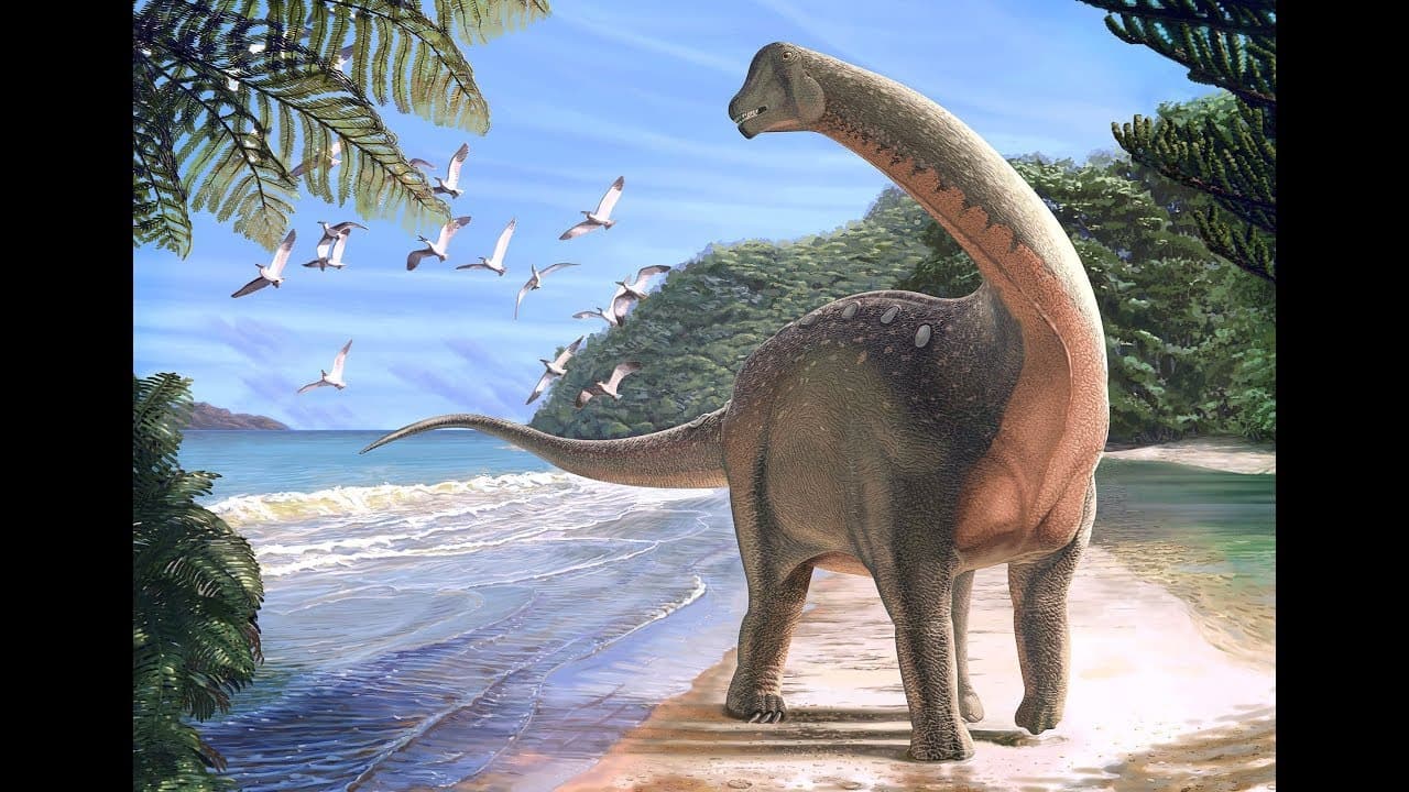 Thumbnail: Enem 2012 - Resolução de biologia questão83-(Enem 2012-prova amarela primeira aplicação) education