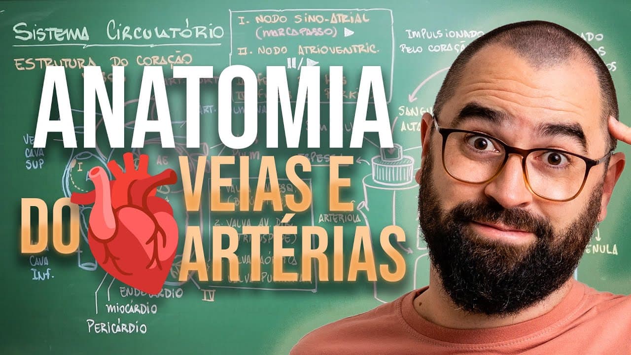 Thumbnail: Anatomia do coração, veias e artérias - Aula 25 - Módulo 7: Fisiologia Humana