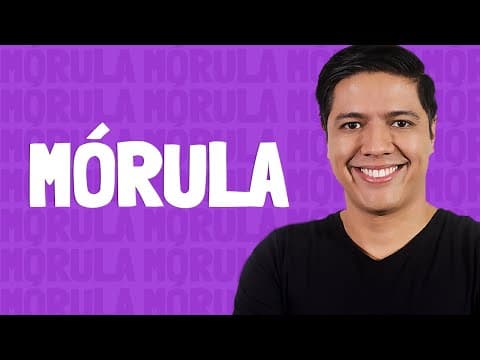Thumbnail da aula: Mórula - Prof. Kennedy Ramos.