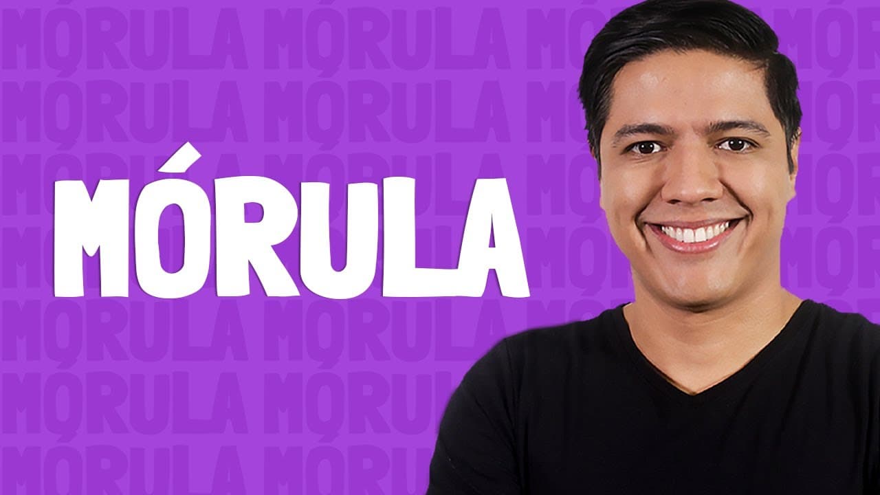 Thumbnail: Mórula - Prof. Kennedy Ramos.