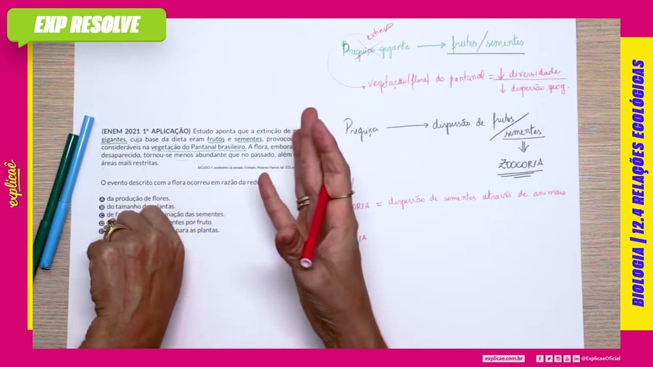 Thumbnail: ESTUDO APONTA QUE A EXTINÇÃO DE PREGUIÇAS-GIGANTES, CUJA BASE DA DIETA(...) | RELAÇÕES ECOLÓGICAS