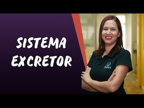 Thumbnail da aula: Sistema Excretor - Brasil Escola