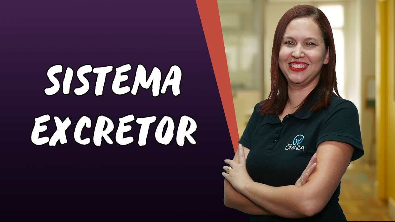 Thumbnail: Sistema Excretor - Brasil Escola