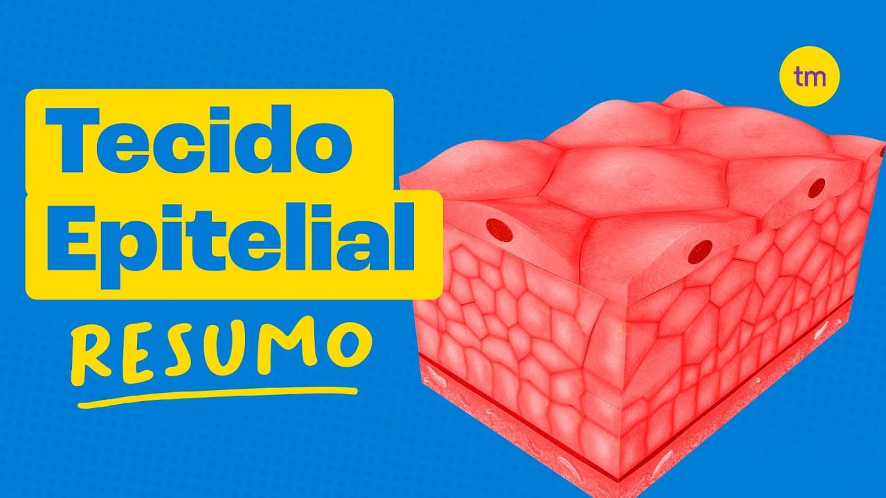 Thumbnail: TECIDO EPITELIAL | Conheça os TIPOS e FUNÇÕES