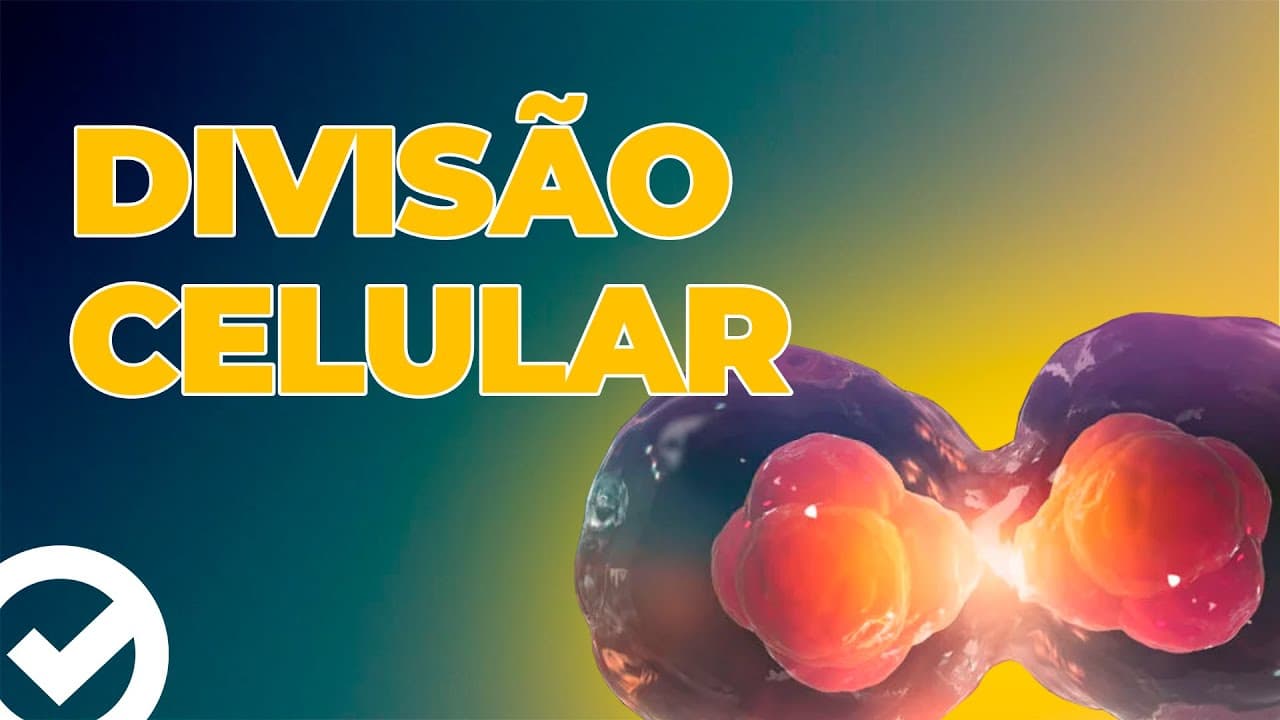 Thumbnail: Acelere no ENEM - Divisão Celular