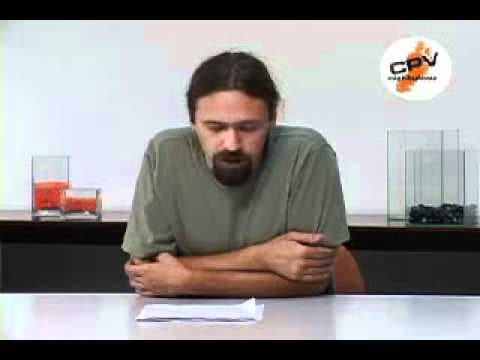 Thumbnail da aula: História - Fuvest 2008