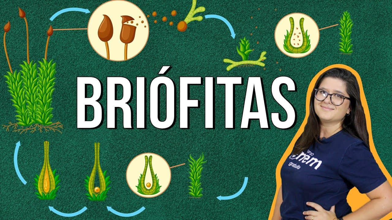 Thumbnail: BRIÓFITAS: tipos, características e reprodução. RESUMO DE BIOLOGIA ENEM. Profe Juliana Evelyn Santos