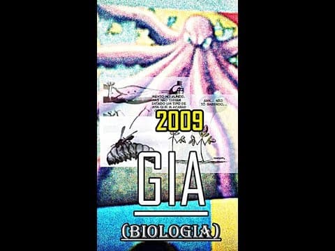 Thumbnail da aula: ENEM 2009 questão 1