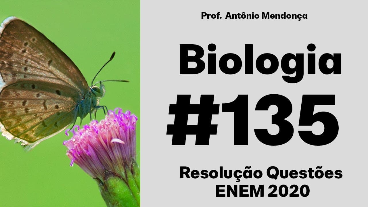 Thumbnail: ENEM 2020 - Os diferentes tipos de café que consumimos nem sempre vêm da mesma espécie de planta