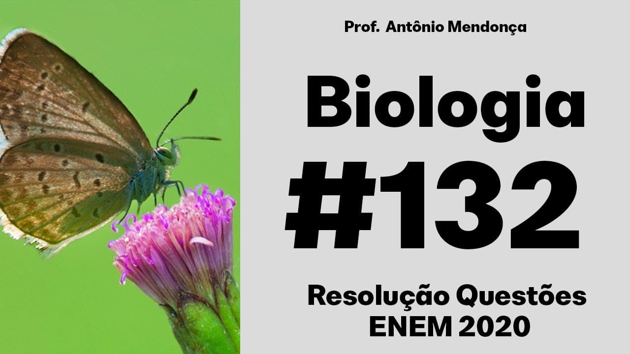 Thumbnail: ENEM 2020 - Megaespetáculos com queima de grande quantidade de fogos de artifício em festas de final