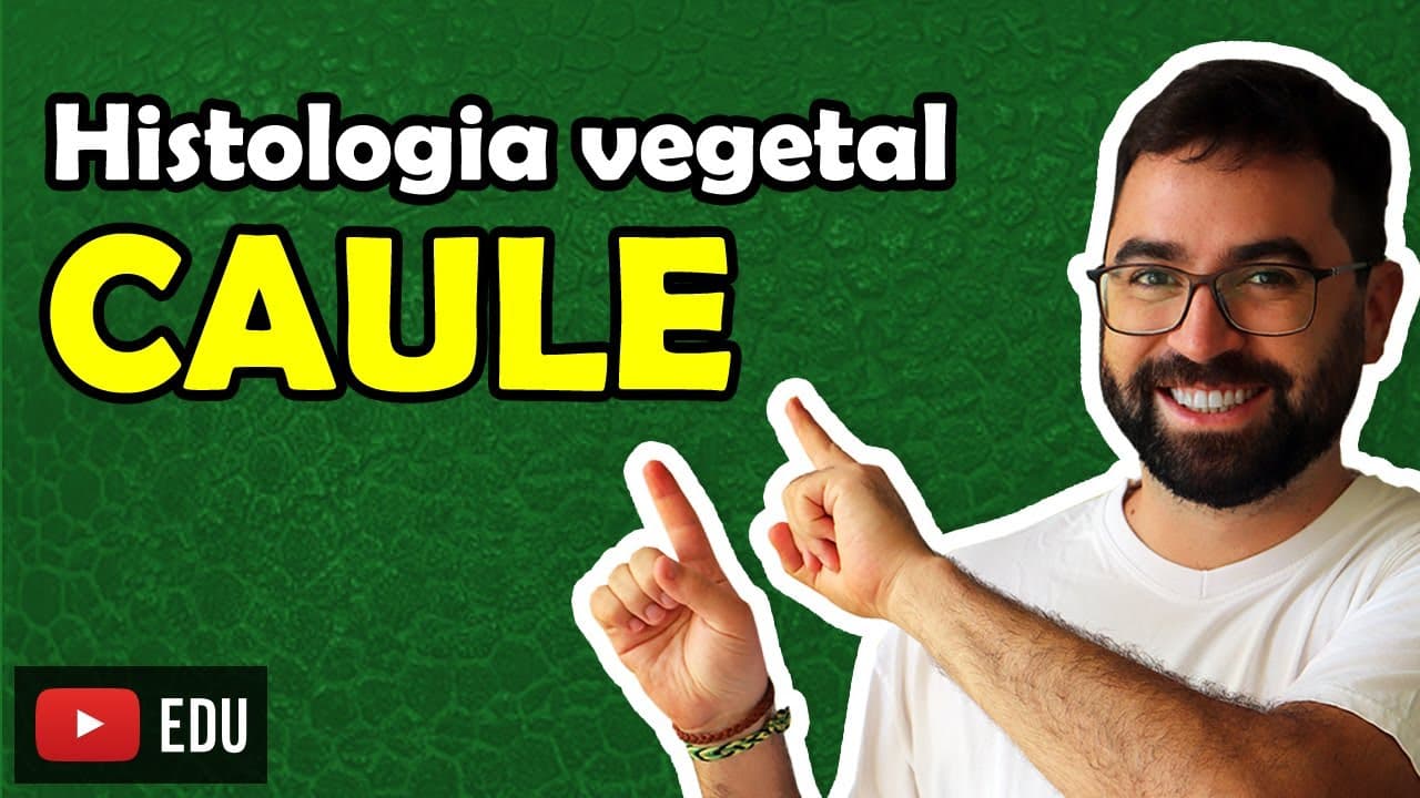 Thumbnail: Histologia do Caule - Aula 09 - Módulo V: Botânica | Prof. Guilherme