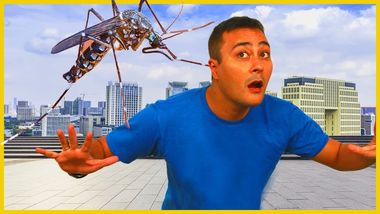 Thumbnail: MOSQUITO DA DENGUE TRANSGÊNICO - Prof. Paulo Jubilut