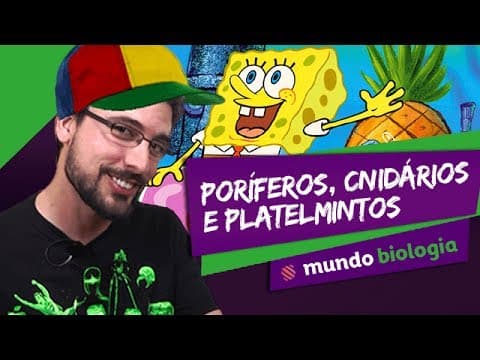 Thumbnail da aula: 🐍 Zoologia (1/6): Poríferos, Cnidários e Platelmintos - Biologia - ENEM