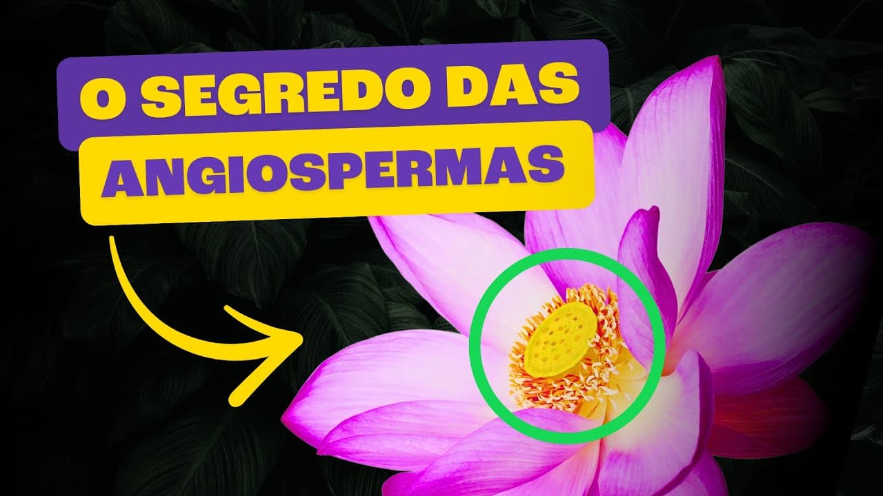 Thumbnail: Angiospermas | As Plantas que Dominaram O Mundo!