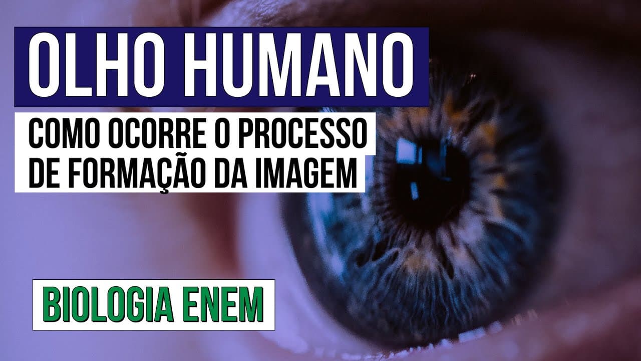 Thumbnail: OLHO HUMANO: como ocorre o processo de formação da imagem? | Biologia para o Enem | Cláudia Aguiar