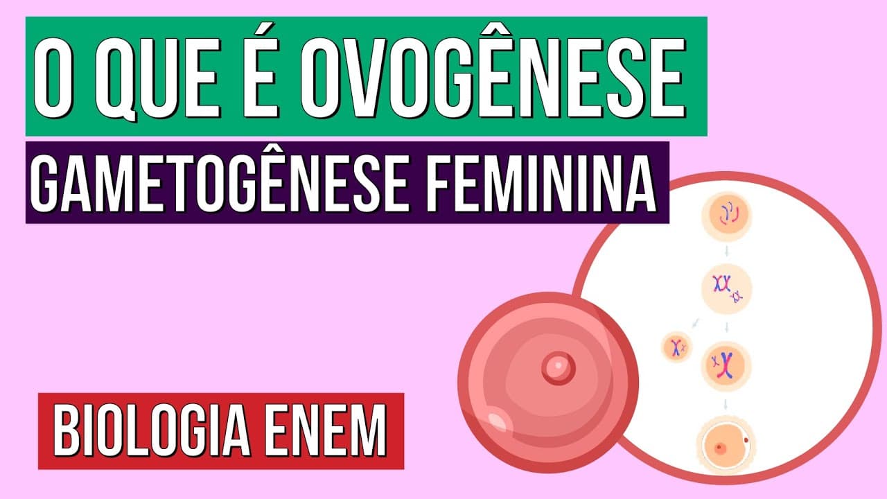 Thumbnail: GAMETOGÊNESE FEMININA: o que é ovogênese | Resumo de Biologia para o Enem | Cláudia de Souza Aguiar
