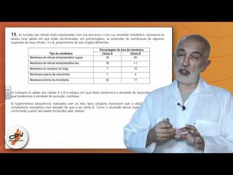 Thumbnail da aula: Biologia - Unicamp 2012 - 2ª fase