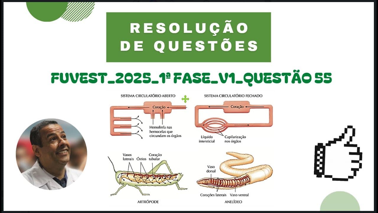 Thumbnail: FUVEST 2025 - 1ª FASE - PROVA V1 - QUESTÃO 55
