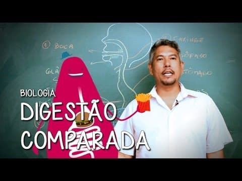 Thumbnail da aula: Qual a posição dos órgãos do Sistema Digestivo? - Extensivo Biologia | Descomplica