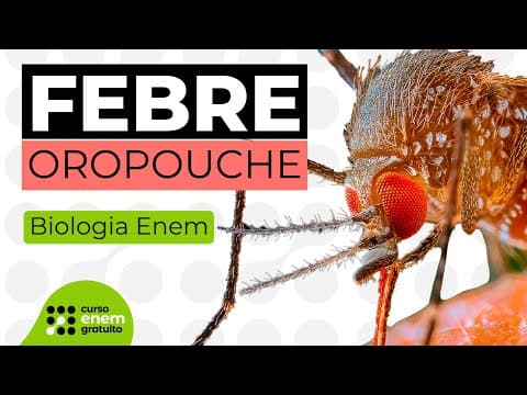 Thumbnail da aula: FEBRE OROPOUCHE | Biologia para o Enem | Cláudia de Souza Aguiar