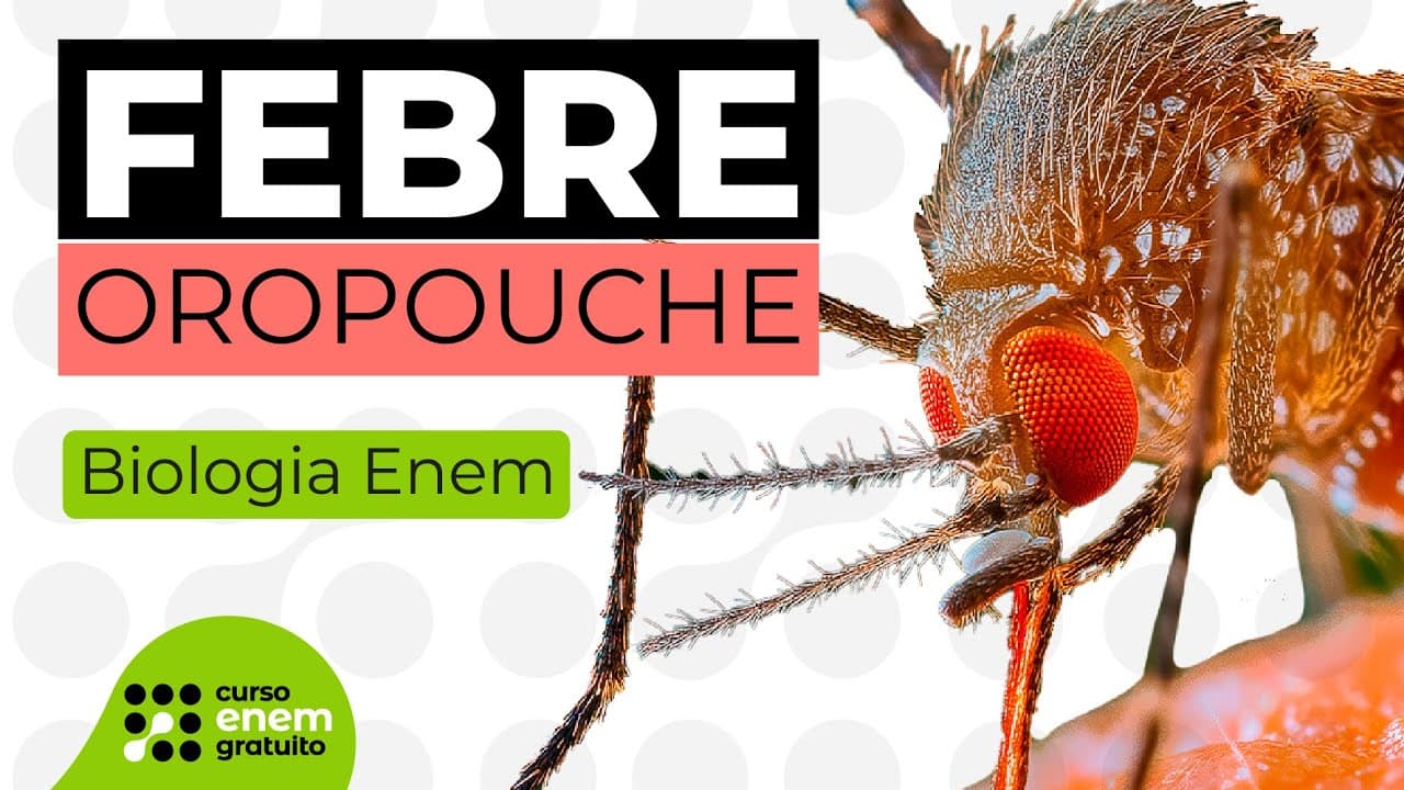Thumbnail: FEBRE OROPOUCHE | Biologia para o Enem | Cláudia de Souza Aguiar