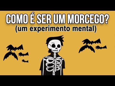 Thumbnail da aula: QUALIA: Por que ninguém te entende.