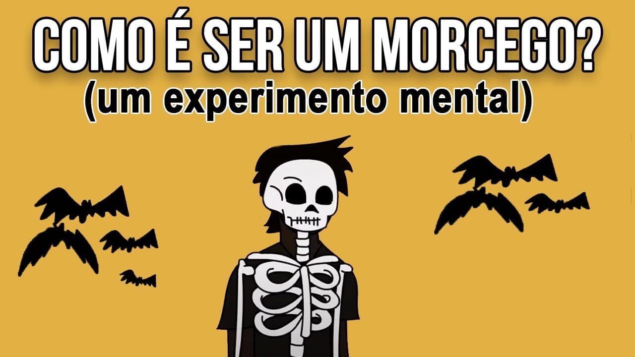 Thumbnail: QUALIA: Por que ninguém te entende.