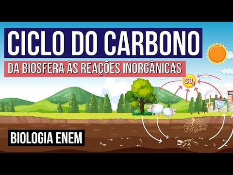 Thumbnail da aula: CICLO DO CARBONO: da biosfera às reações inorgânicas | Biologia para o Enem