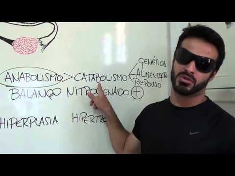Thumbnail da aula: Esteróides Anabolizantes: Anabolismo, catabolismo, balanço nitrogenado, hiperplasia e hipertrofia
