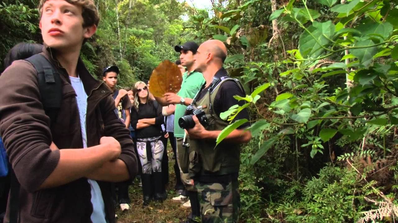 Thumbnail: Mata Atlântica Sempre Viva