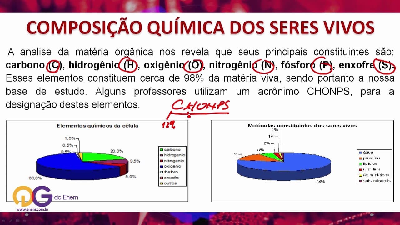 Thumbnail: Biologia: Seres Vivos - ENEM