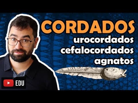 Thumbnail da aula: Urocordados, Cefalocordados e Agnatos - Cordados. Aula 27 - Módulo VI: Zoologia | Prof. Gui