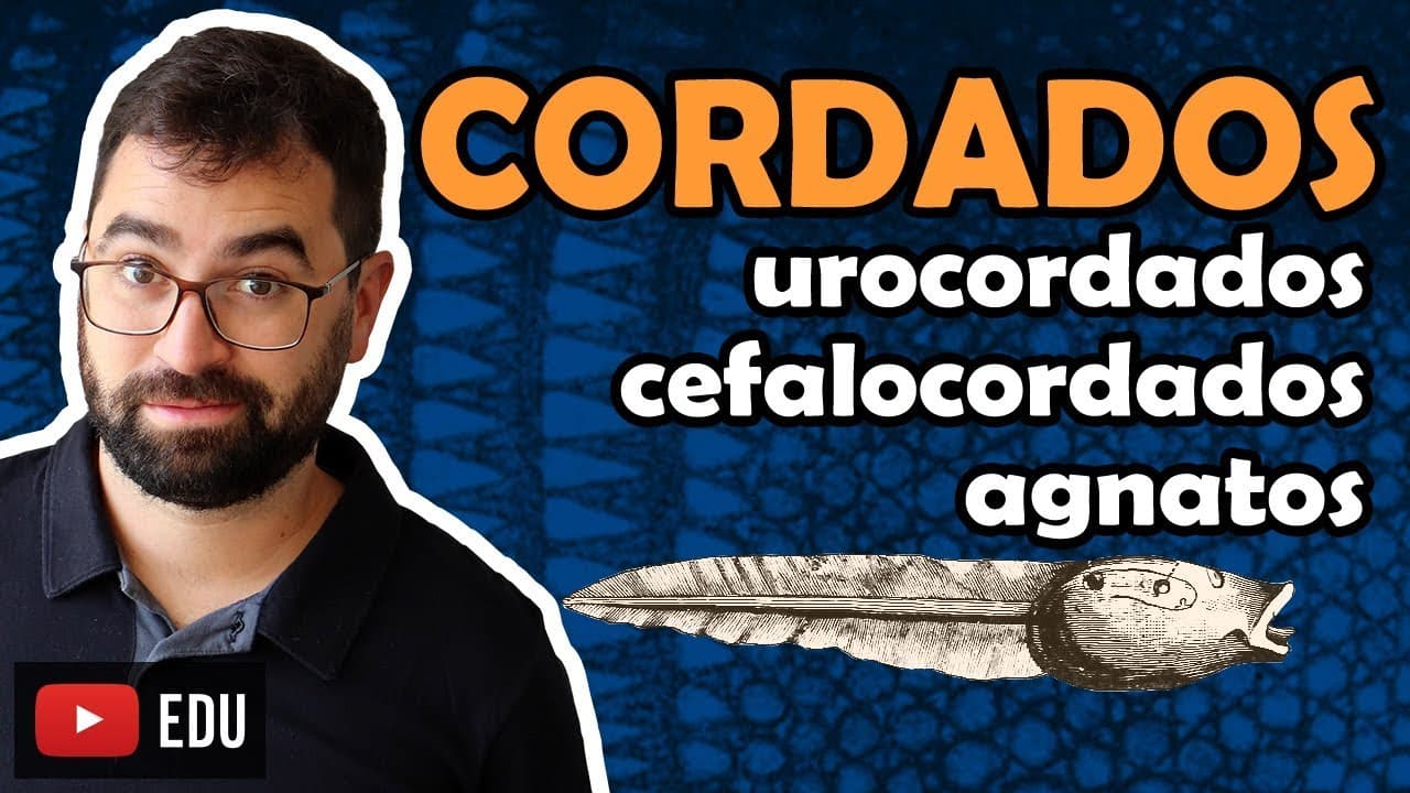 Thumbnail: Urocordados, Cefalocordados e Agnatos - Cordados. Aula 27 - Módulo VI: Zoologia | Prof. Gui