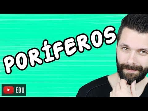 Thumbnail da aula: PORÍFEROS - REINO ANIMALIA - ZOOLOGIA - Aula | Biologia com Samuel Cunha