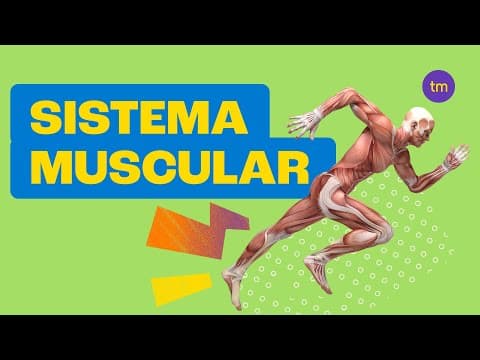 Thumbnail da aula: Sistema Muscular | Resumo Toda Matéria