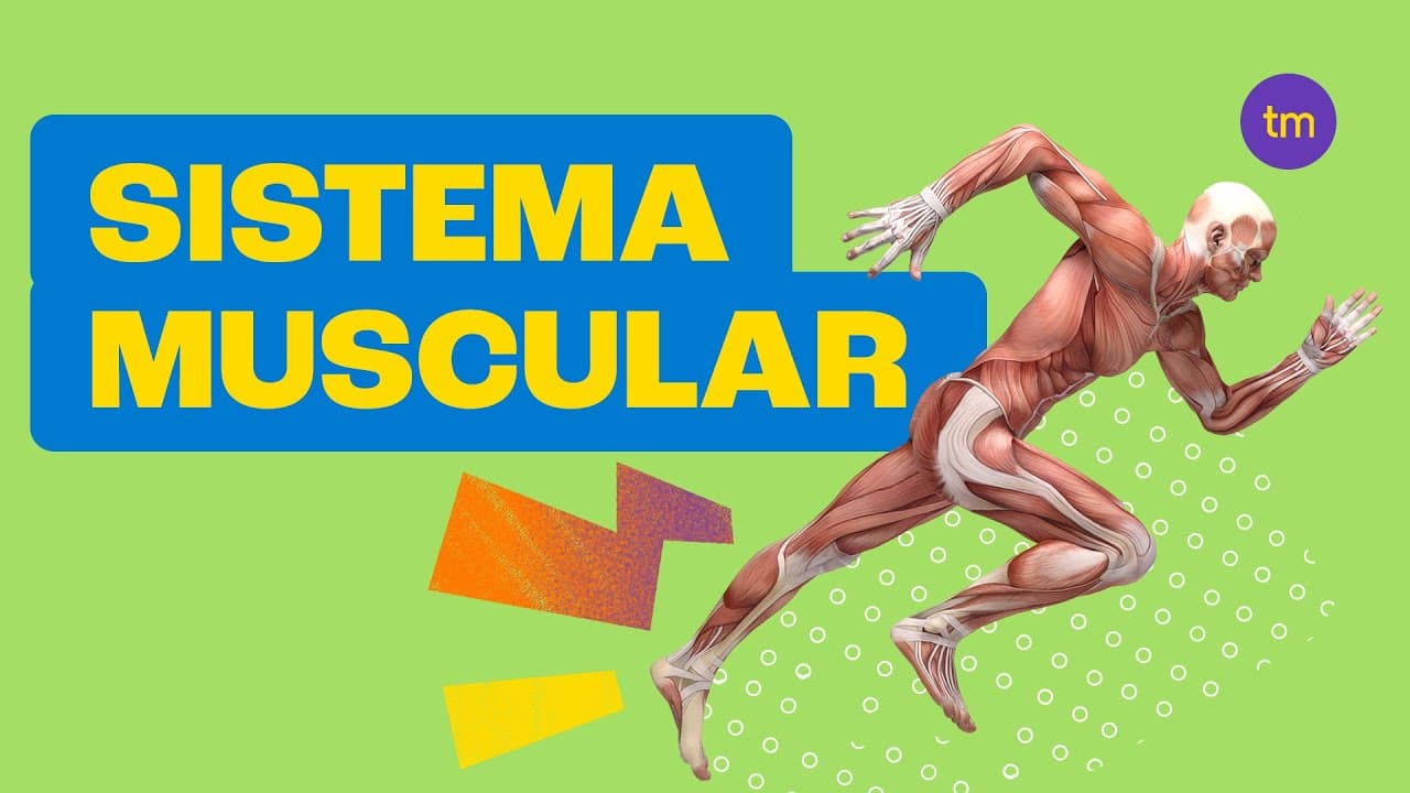 Thumbnail: Sistema Muscular | Resumo Toda Matéria